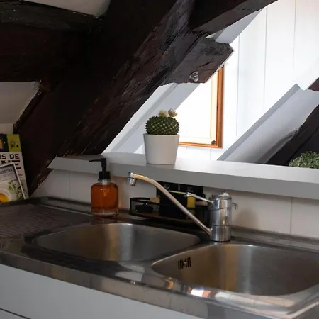 Old Town Loft Apartman Annecy