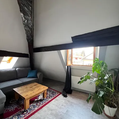 Old Town Loft * Annecy