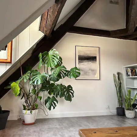 Apartman Old Town Loft Annecy