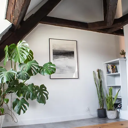 Apartment Old Town Loft *